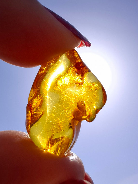 Baltic Amber, 1.31g, Fossil (Ref: A234)