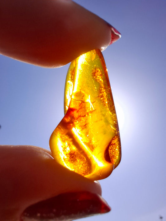 Baltic Amber, 1.48g, Fossil (Ref: A221)