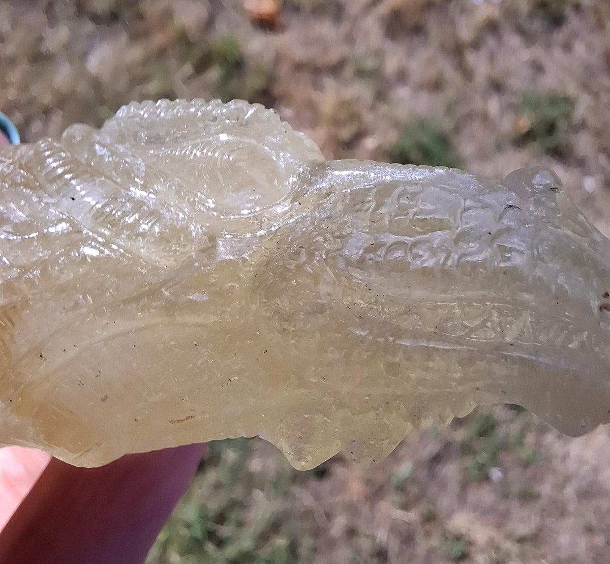 Libyan Desert Glass DRAGON HEAD carving, 48.11g, Tektite (Ref: Dragon4)