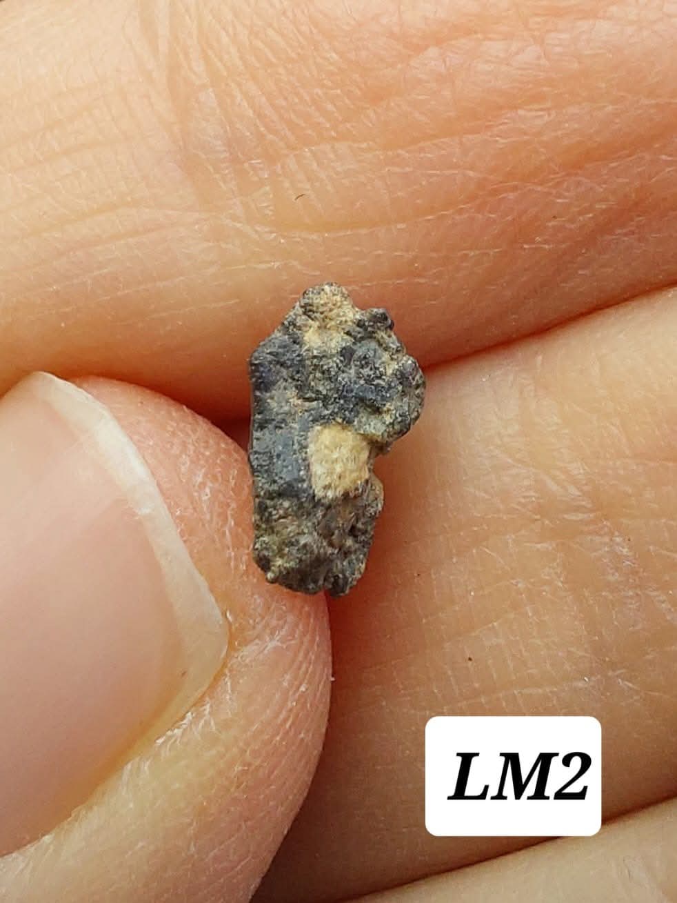 Lunar Meteorite, 0.23g, 'Moon Rock'(Ref: LM2)