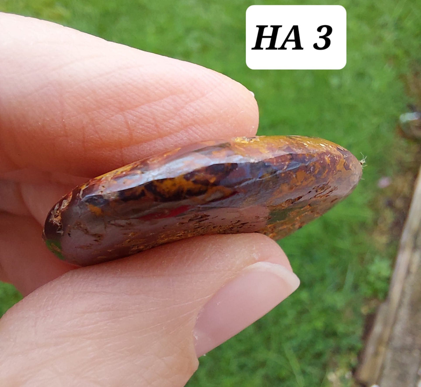Hematite Ammonite, 16.00g, Fossil (Ref: HA3)