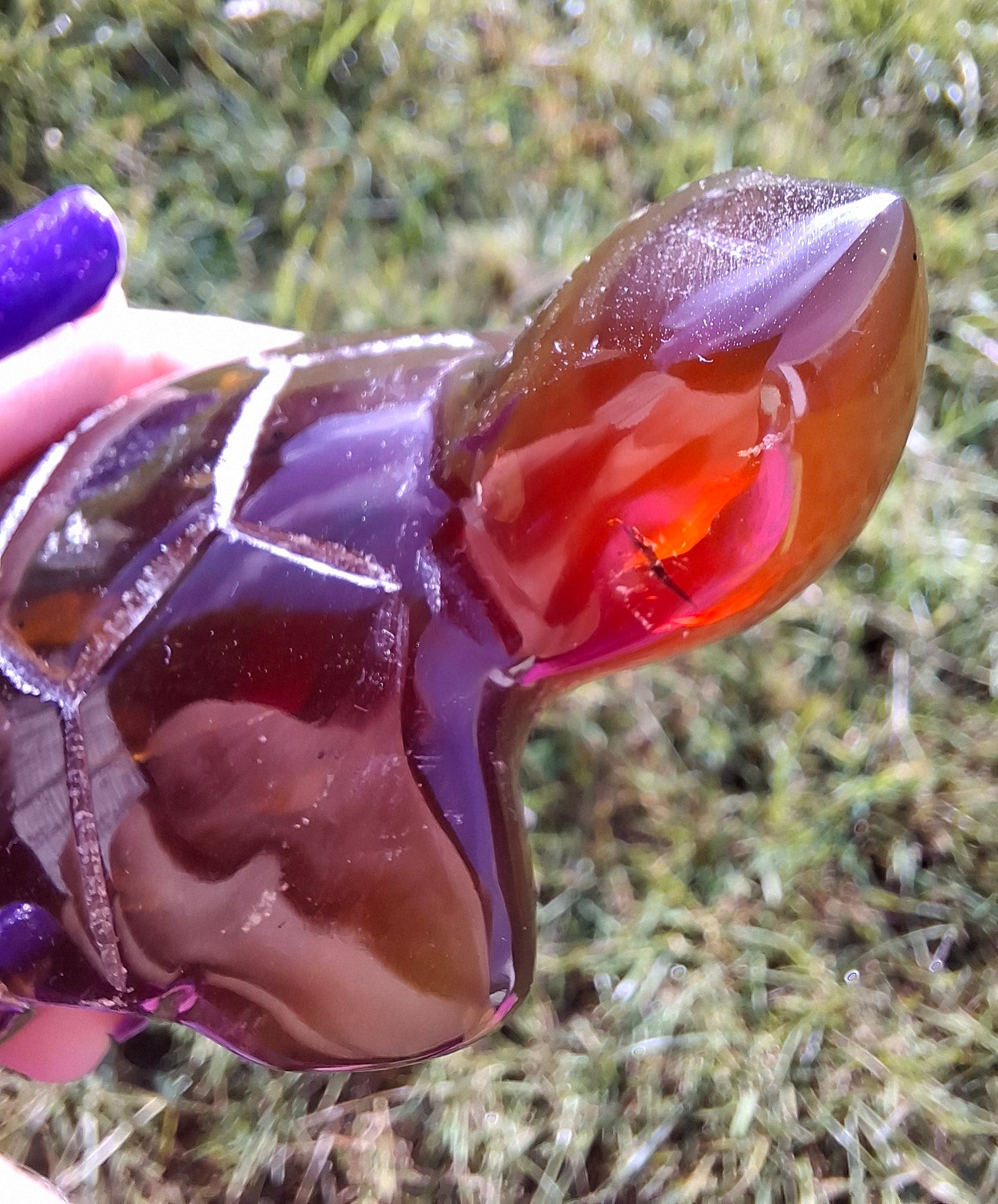 Red Amber Turtle, 49.15g, Carving, Fossil (Ref: TT1)
