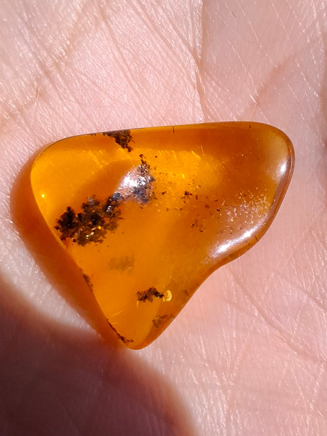 Baltic Amber, 0.91g, Fossil (Ref: A240)