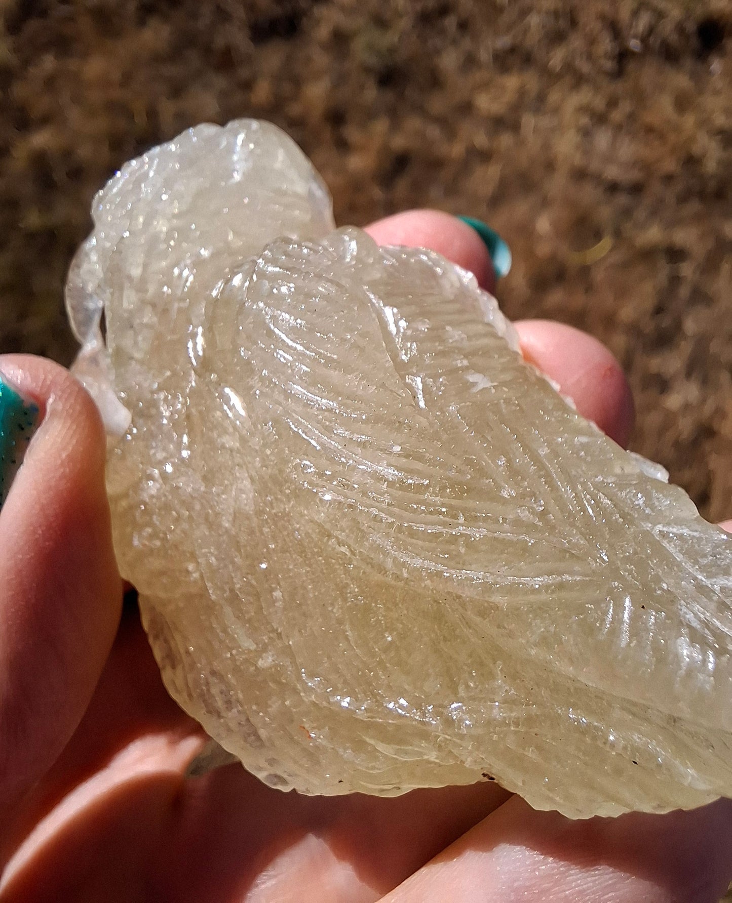 Libyan Desert Glass DRAGON HEAD Carving, 75.84g, Tektite (Ref: Dragon1)