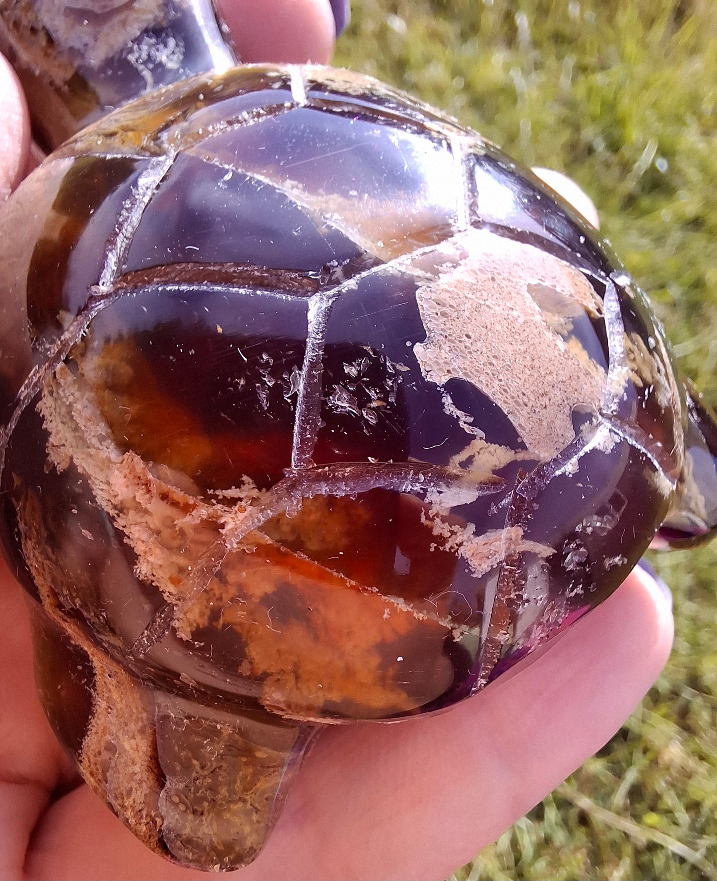 Red Amber Turtle, 56.87g, Carving, Fossil (Ref:TT7)