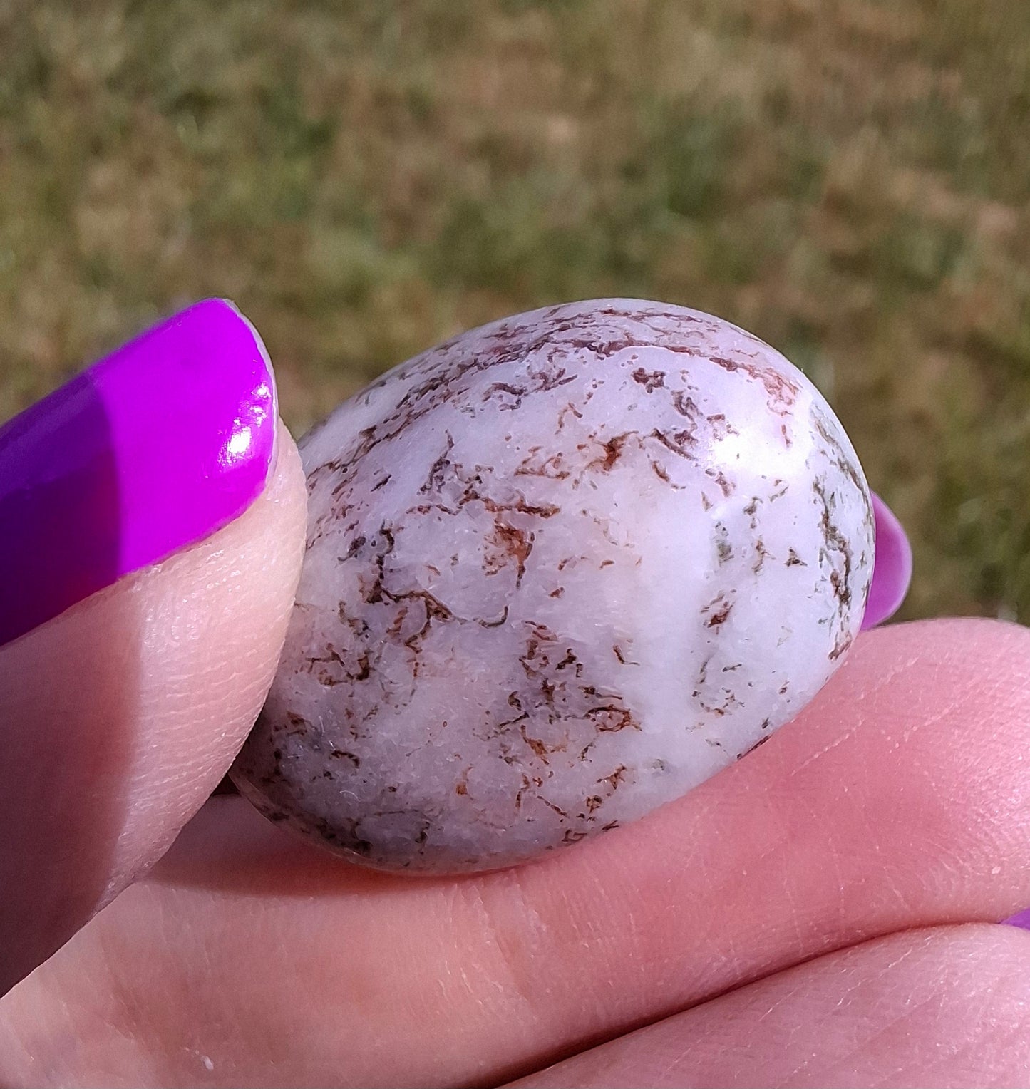 Tree Agate, Tumble Stone, Crystal (Ref: T6)