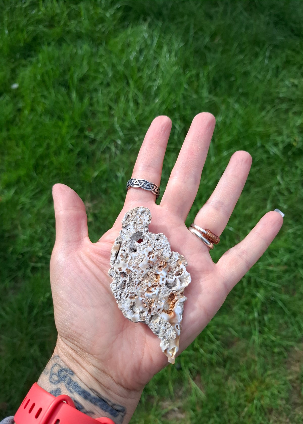 Fossilised Coral replaced by Chalcedony/Agate, Fossil (Ref: FCA2)