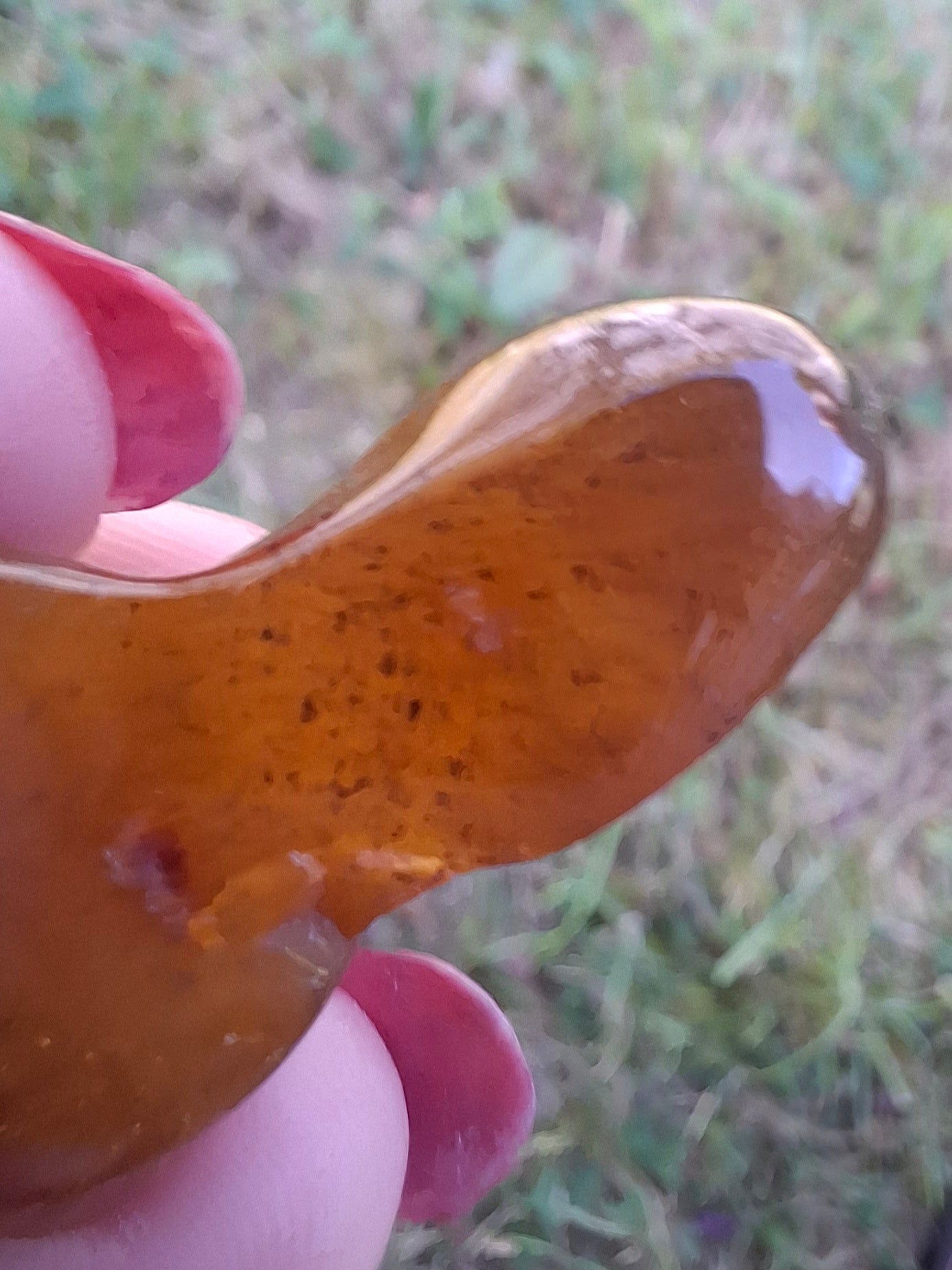 Baltic Amber, 3.17g, Fossil (Ref: A156)