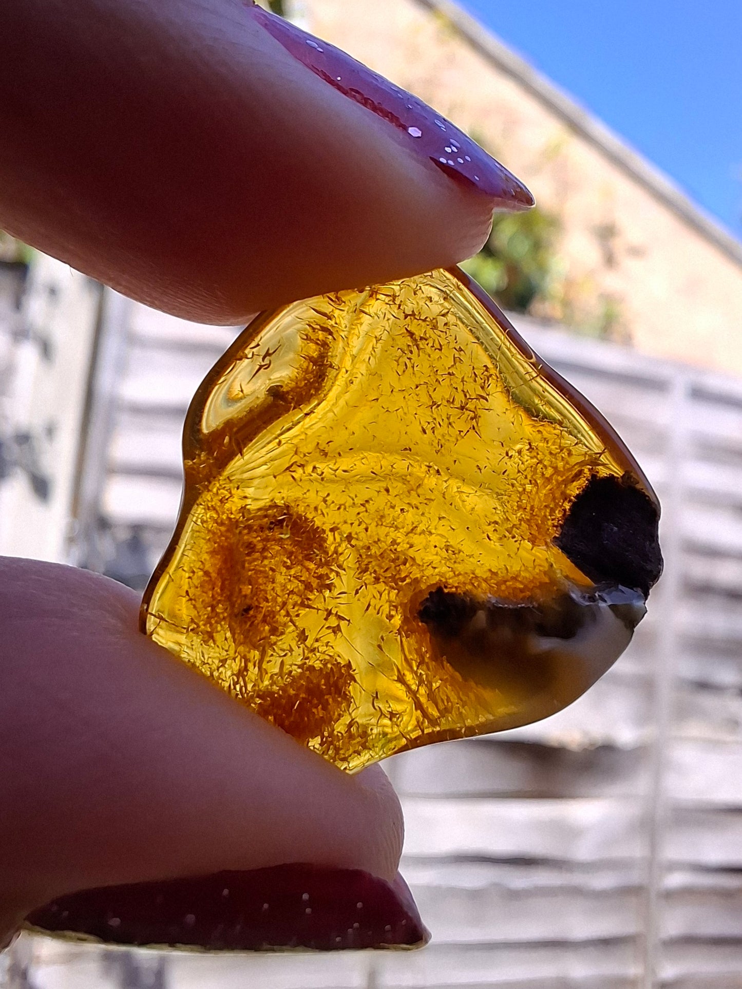 Baltic Amber, 1.45g, Fossil (Ref: A76)