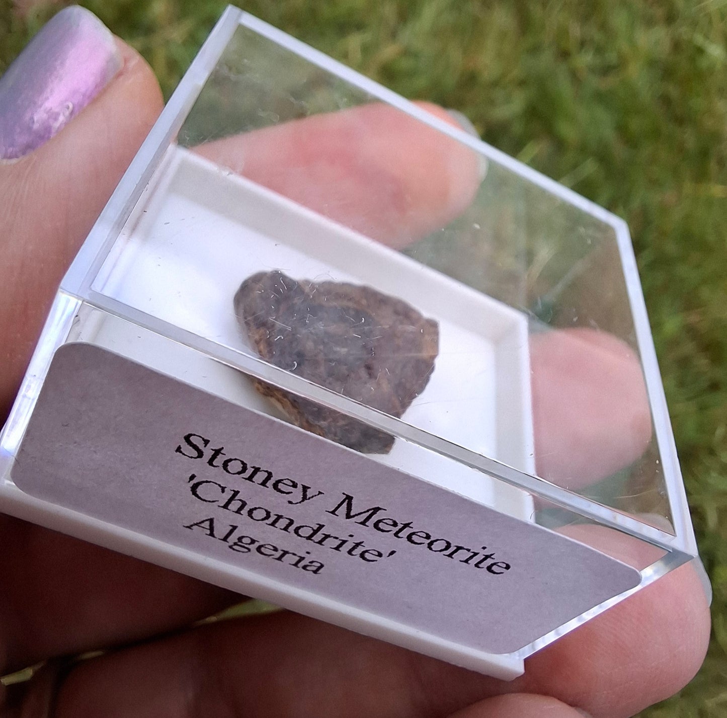 Chondrite, Meteorite (Ref: CM10)
