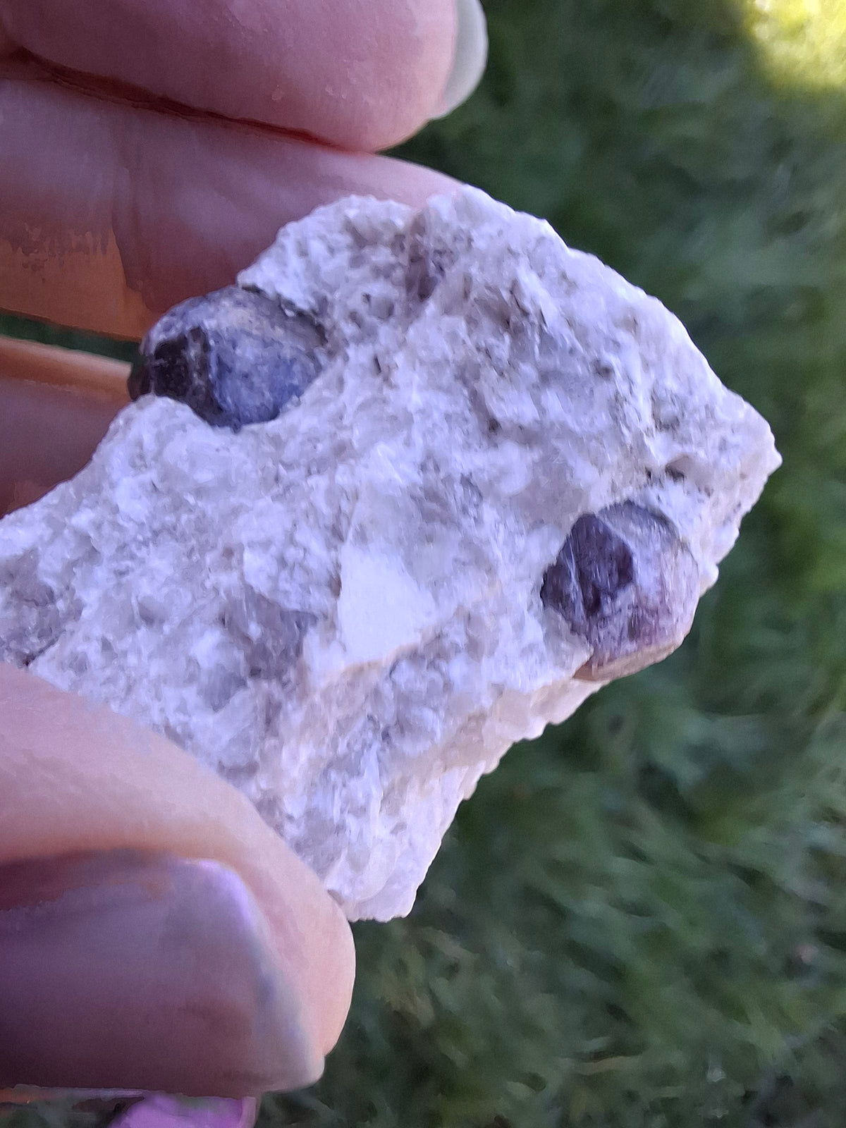 (Dig your own) Garnet in Matrix, Crystal (Ref: RG7)
