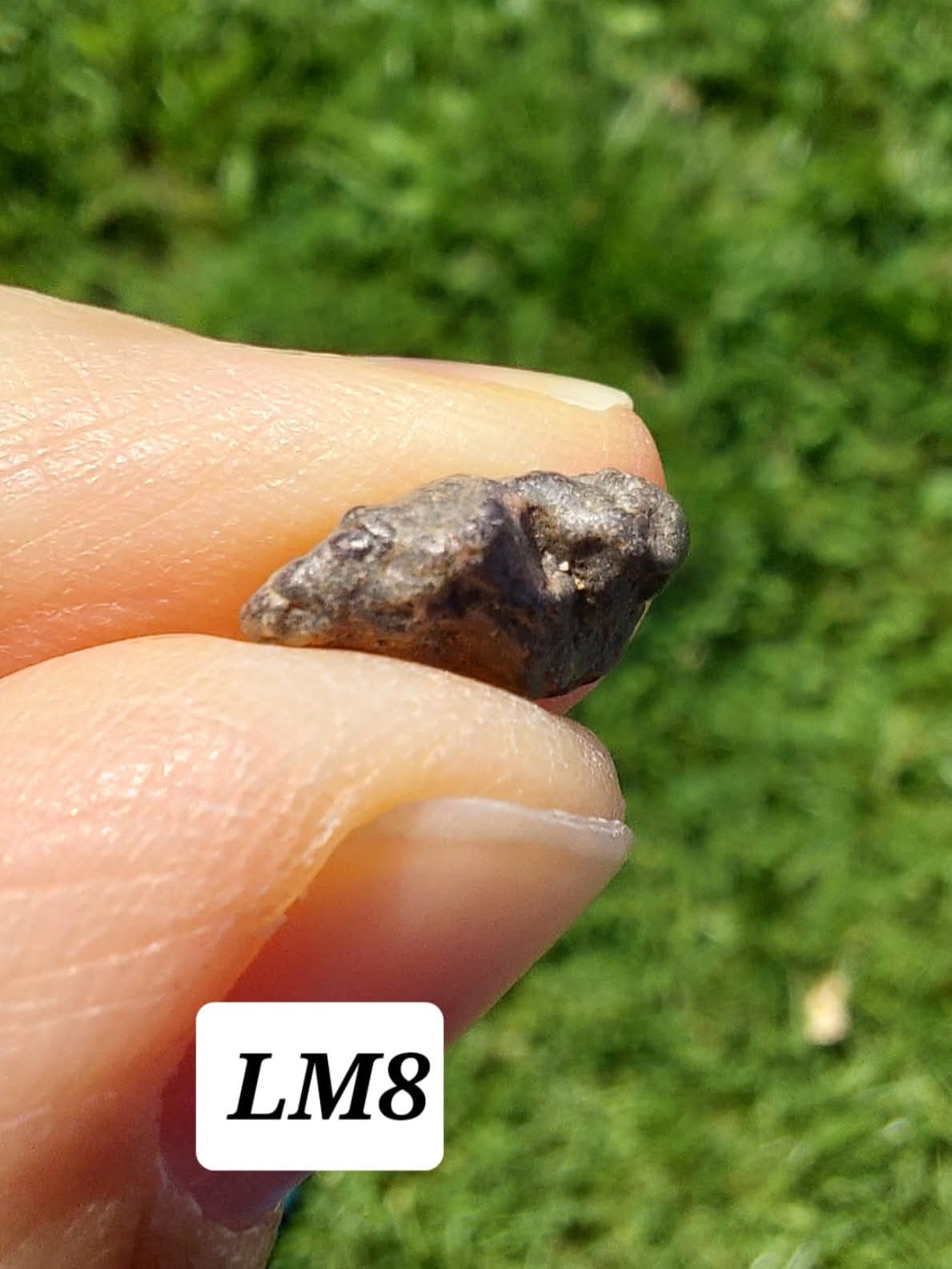 Lunar Meteorite, 0.55g, 'Moon Rock' (Ref: LM8)