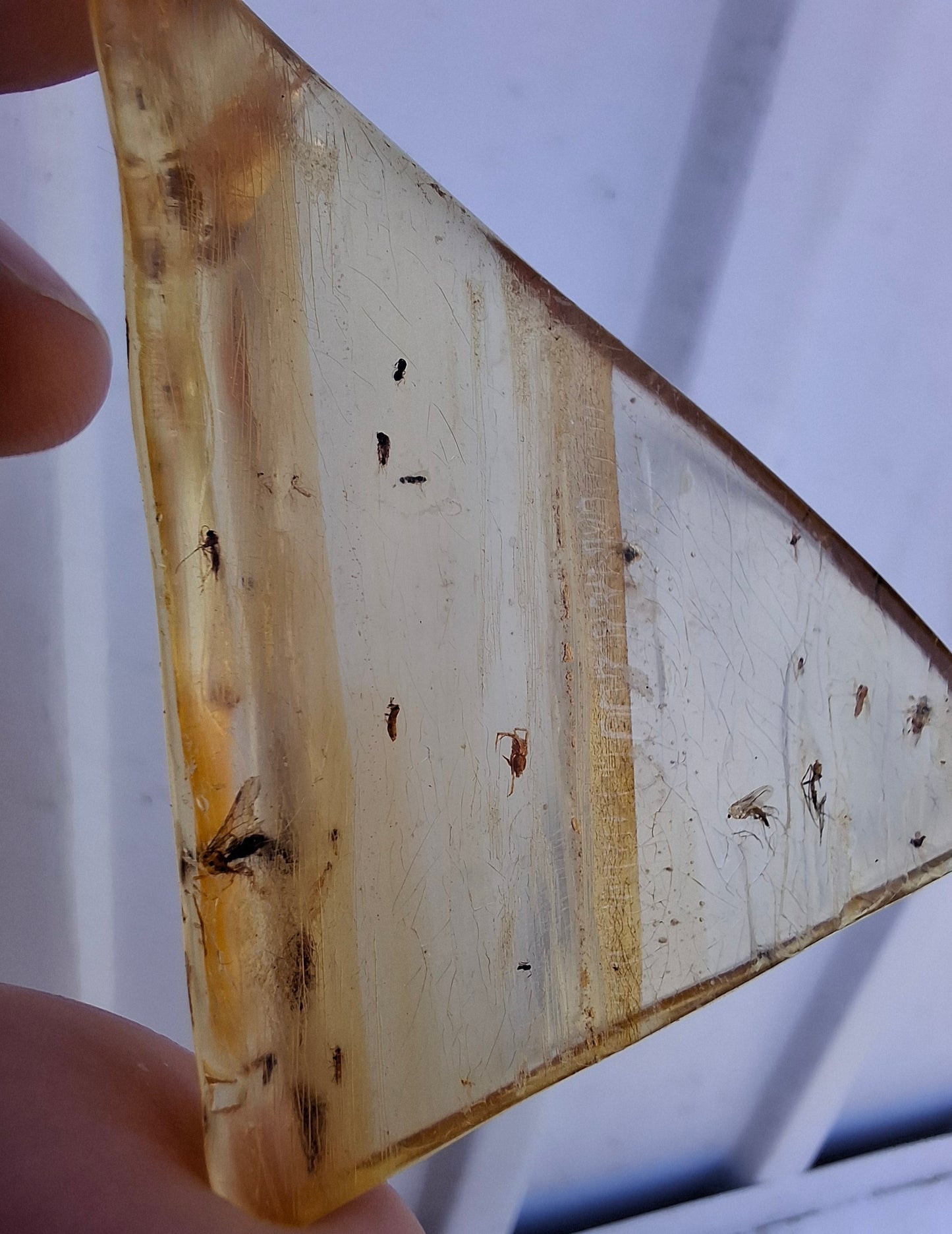 Copal Young Amber with INSECTS inside, 8.39g, Fossil (Ref: CA31)