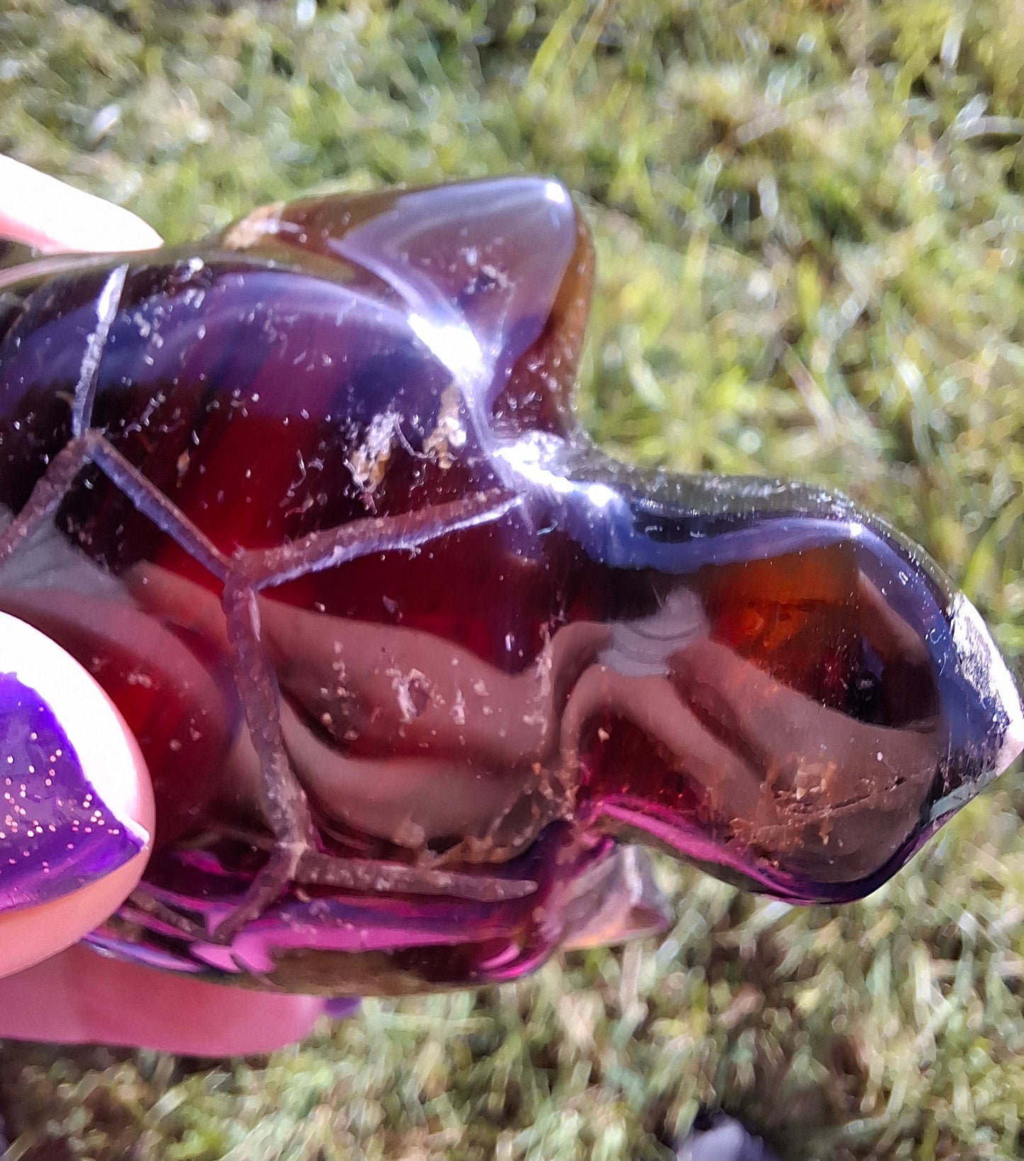 Red Amber Turtle, 56.87g, Carving, Fossil (Ref: TT2)