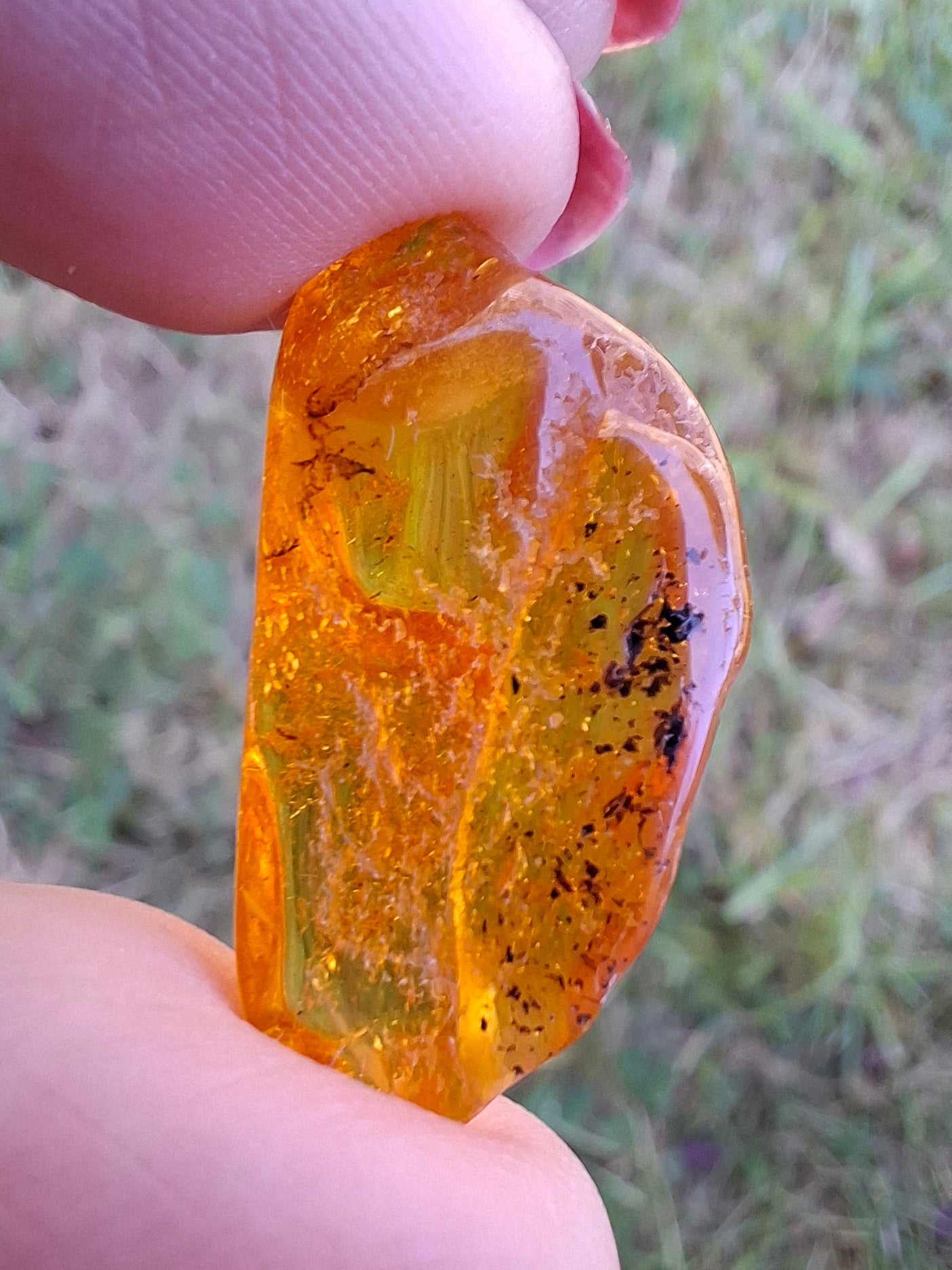 Baltic Amber, 1.39g, Fossil (Ref: A181)
