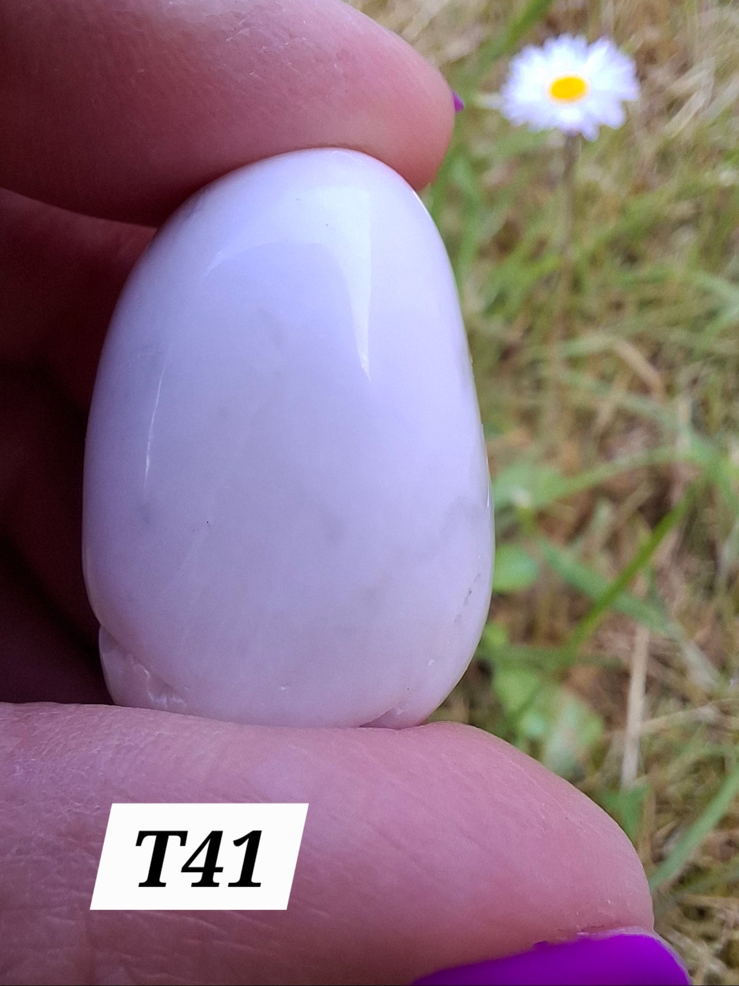 Howlite, Tumble Stone, Crystal (Ref: T41)