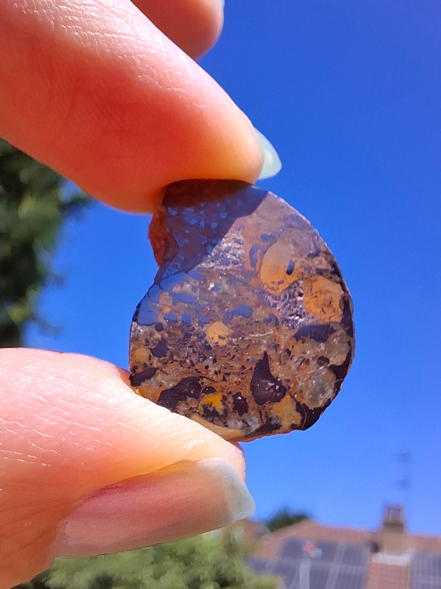Small Haematite Ammonite HALF, 2.59g, Fossil (Ref: MA7)