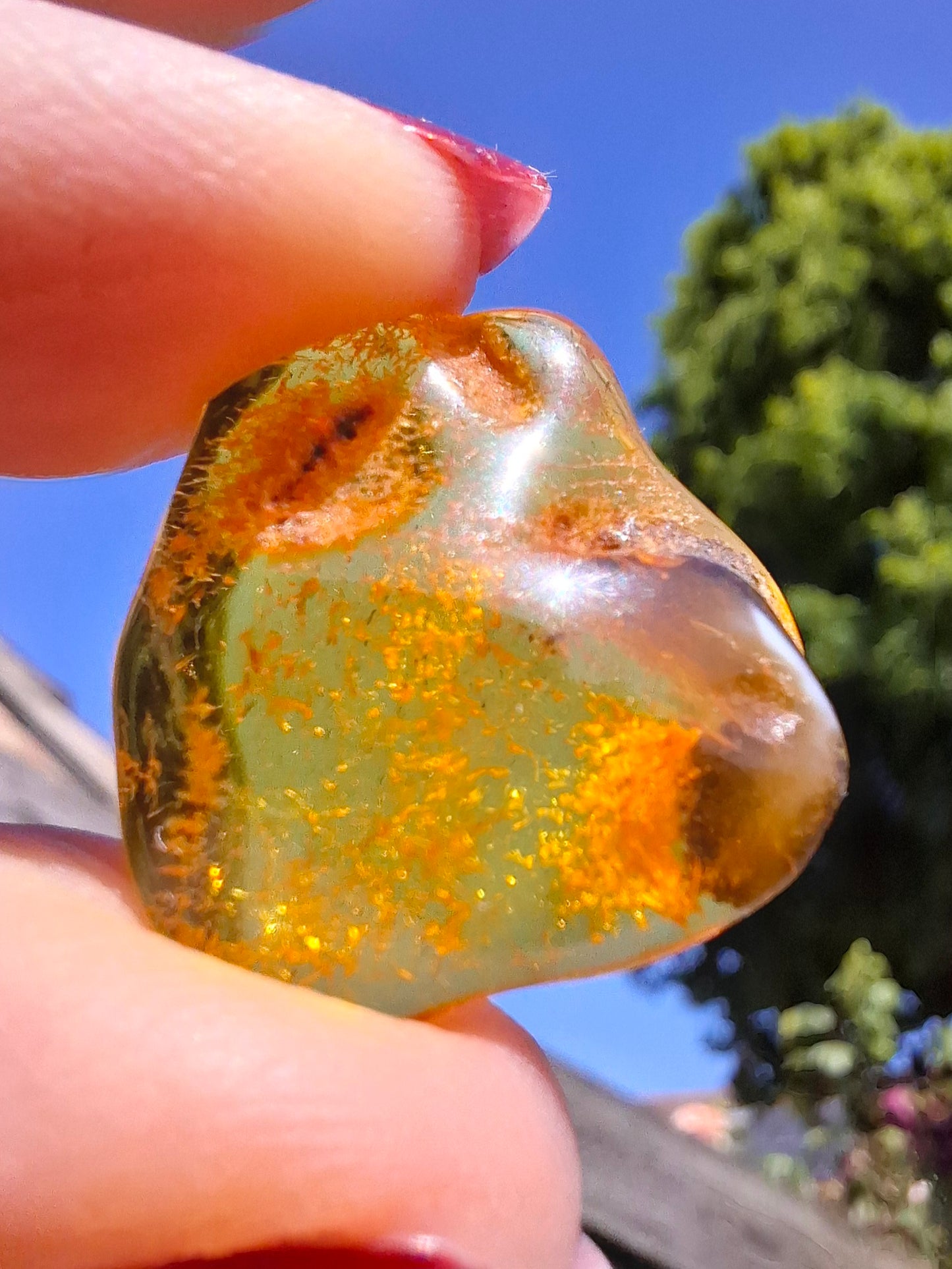 Baltic Amber, 1.45g, Fossil (Ref: A76)