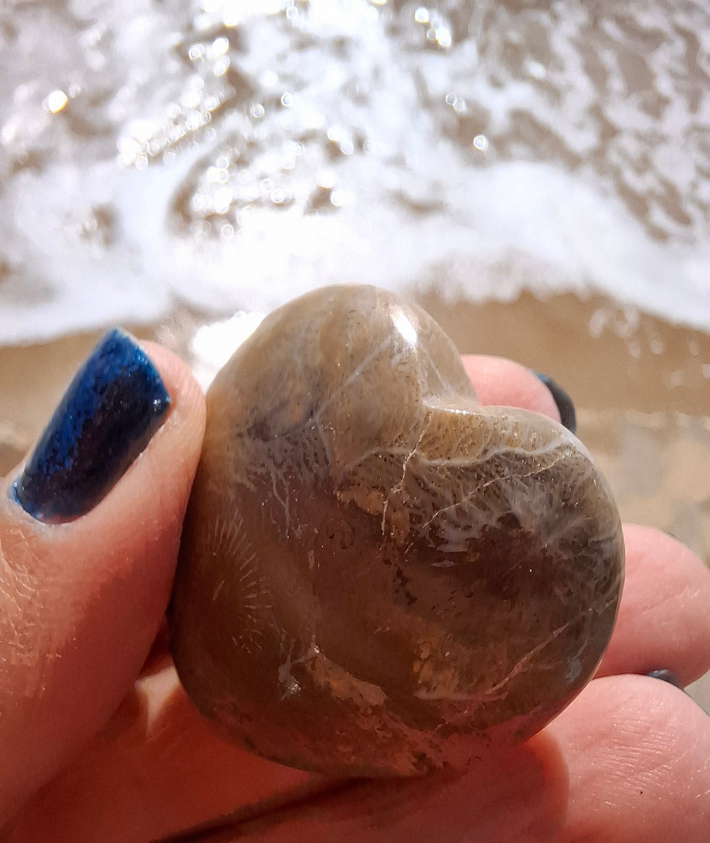 Fossil Coral Heart, (Ref:CoH1)