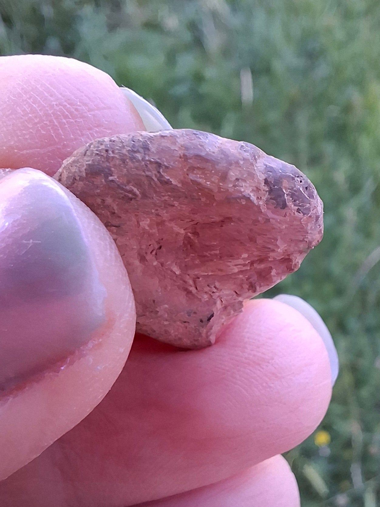 Small Haematite Ammonite HALF, 1.66g, Fossil (Ref: MA2)