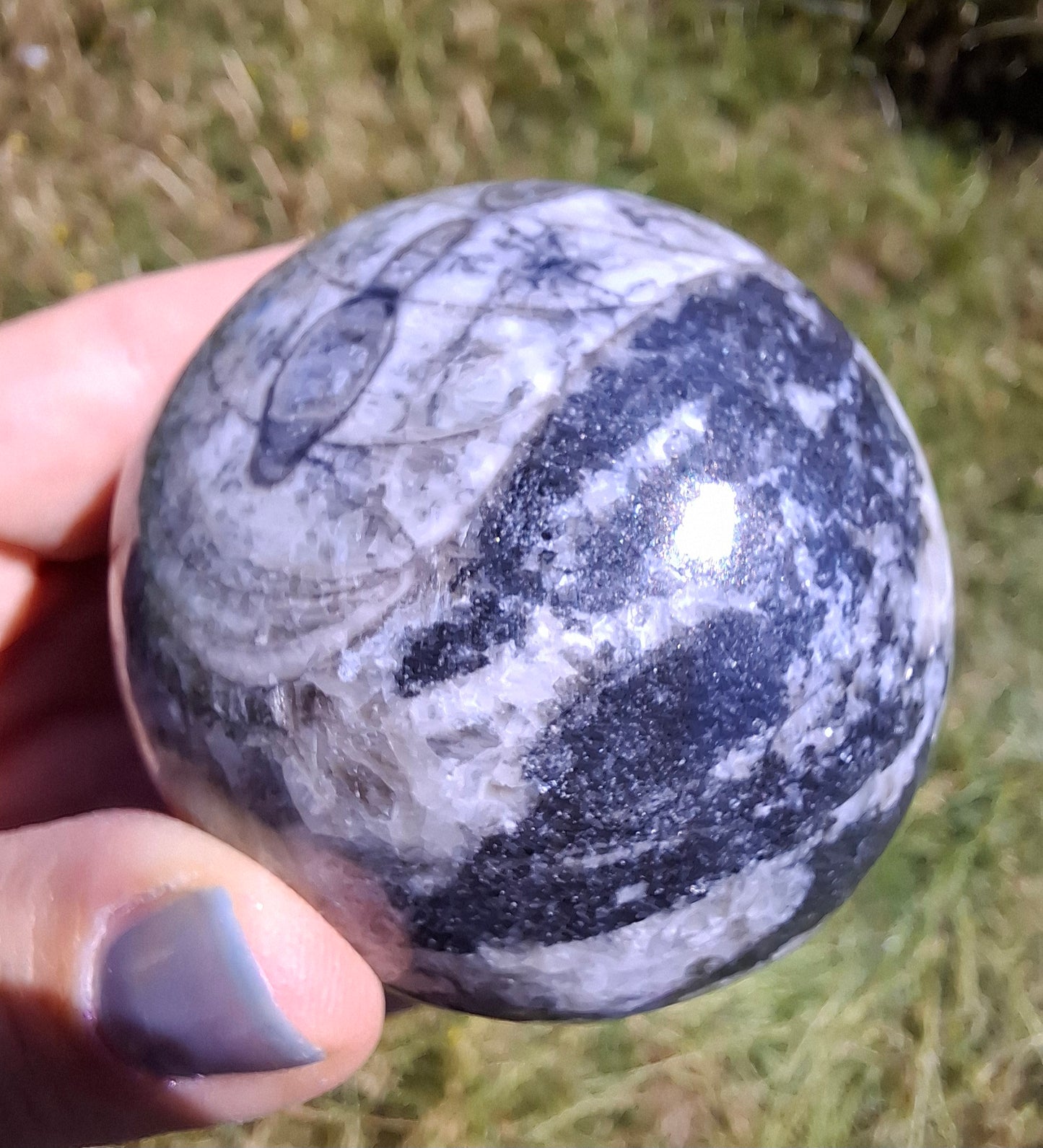 Orthoceras Sphere, Fossil (Ref: OS2)