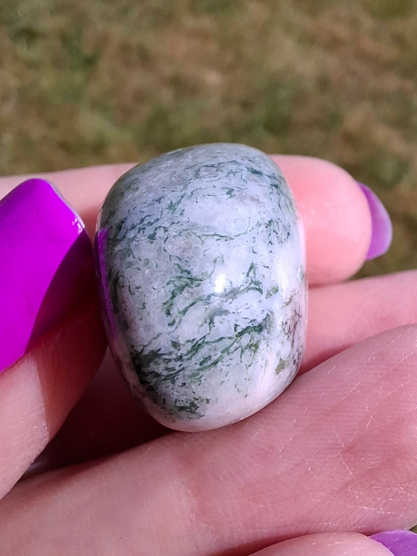 Tree Agate, Tumble Stone, Crystal (Ref: T7)