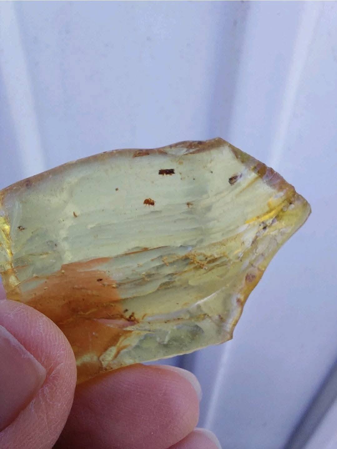 Copal Young Amber with INSECTS inside, 6.42g, Fossil (Ref: CA38)