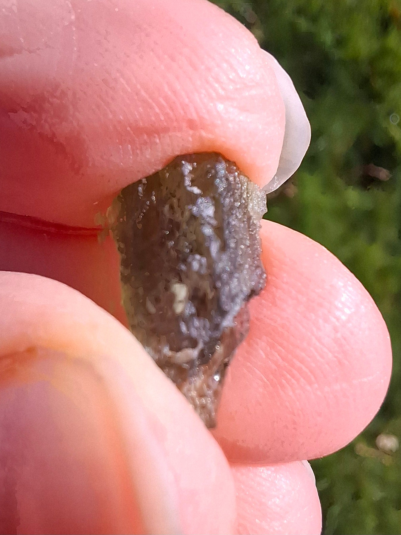 Moldavite Piece, 0.73g, Tektite (Ref: 1331)