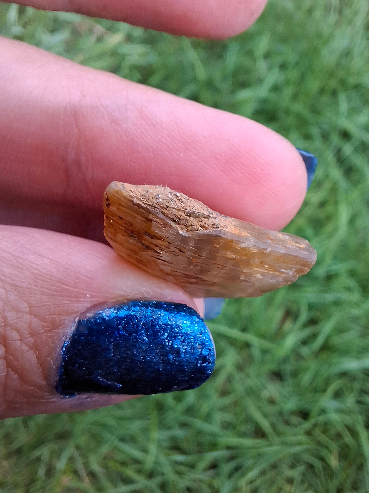 Diaspore (Zultanite), 6.86g, Crystal (Ref: DIS4)