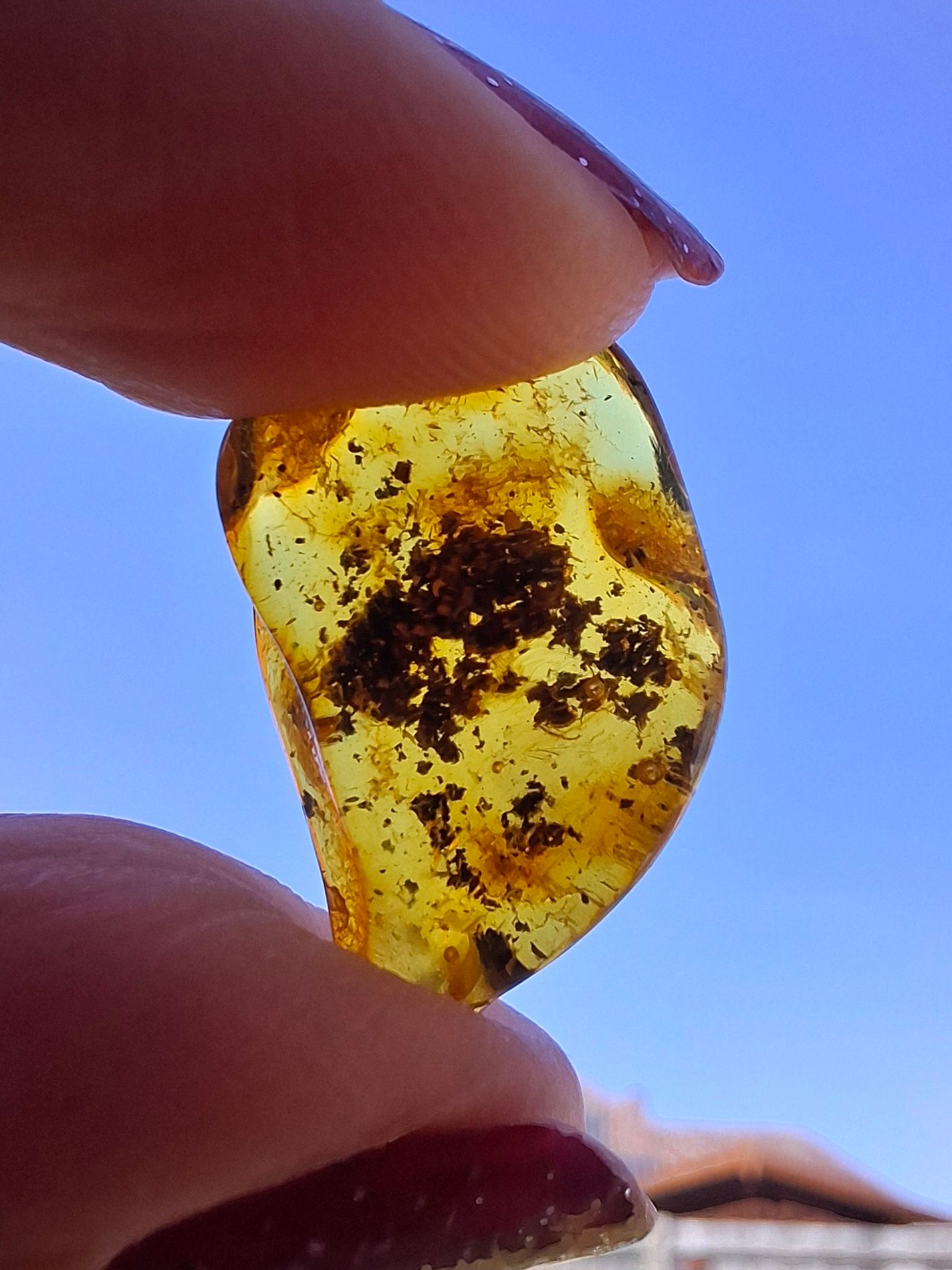 Baltic Amber, 1.13g, Fossil (Ref: A241)