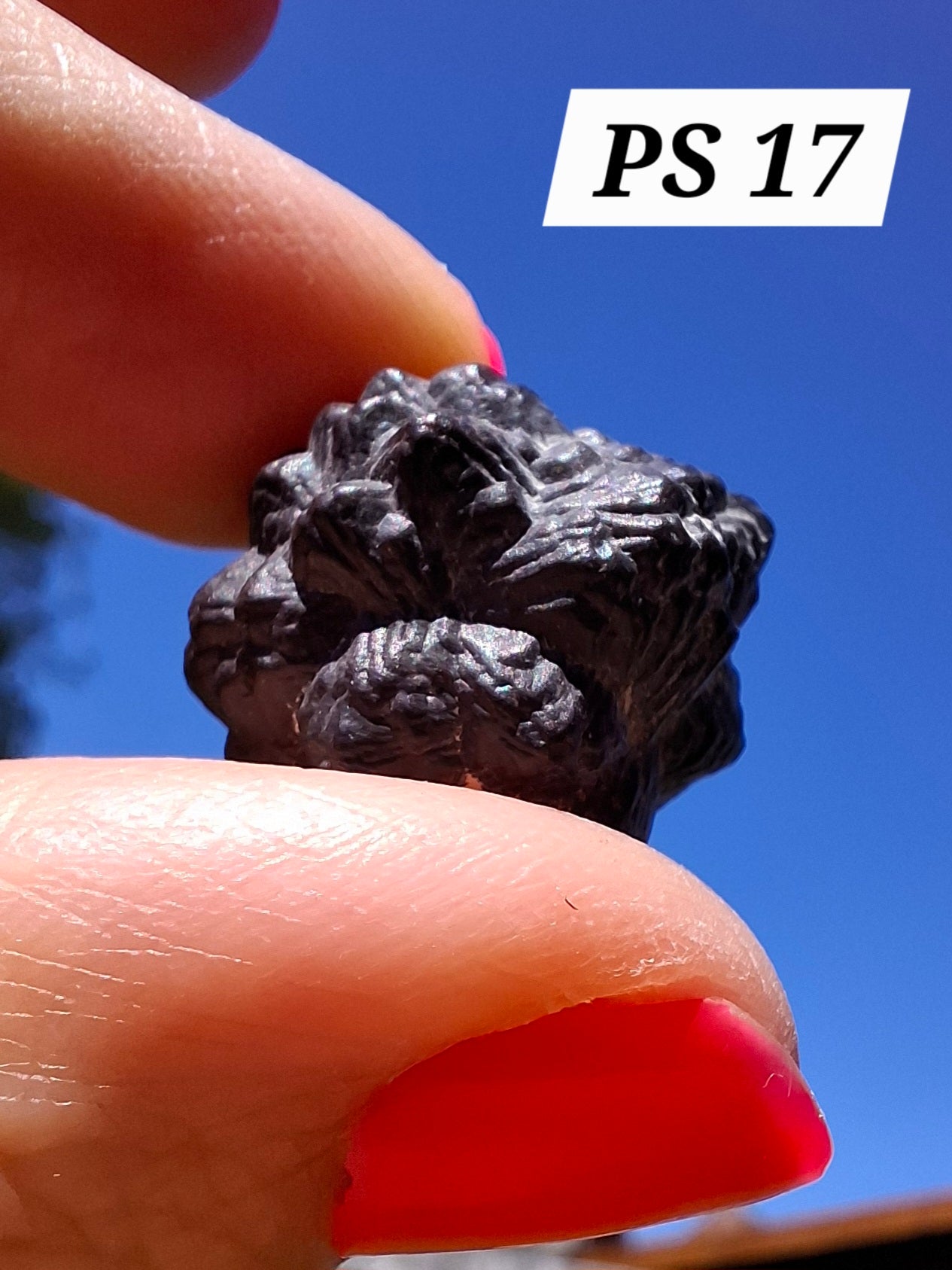 Prophecy Stone, 12.46g (Ref: PS17)