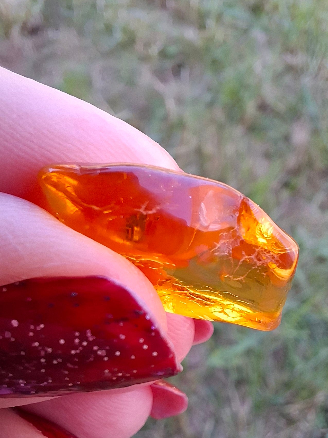 Baltic Amber, 1.31g, Fossil (Ref: A234)