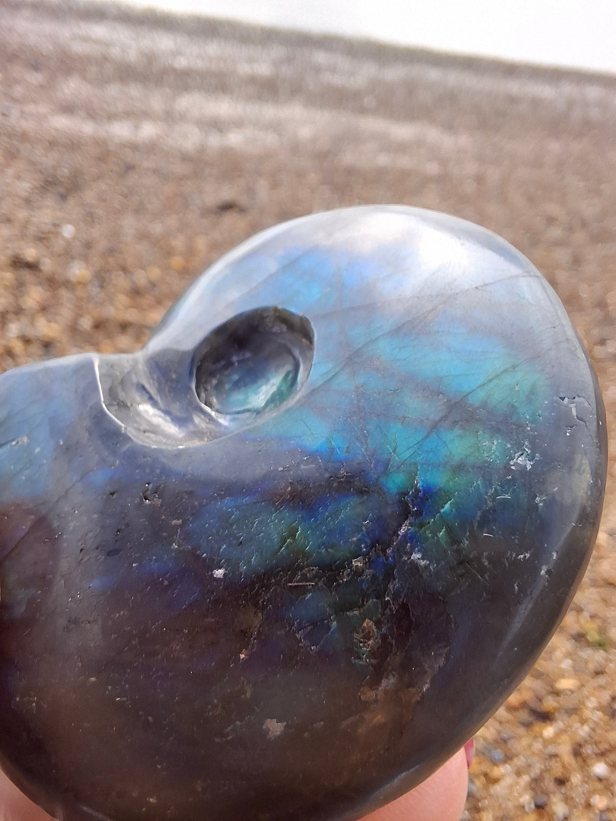 Labradorite Ammonite carving, 96.88g, Crystal (Ref: laba1)