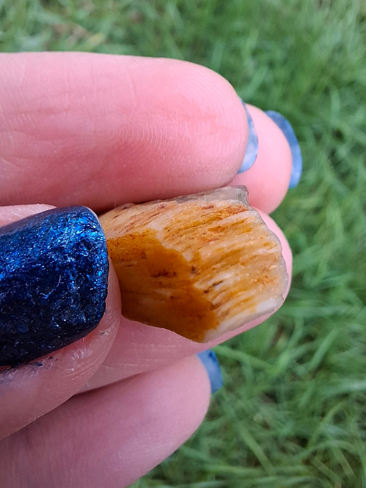 Diaspore (Zultanite), 6.86g, Crystal (Ref: DIS4)