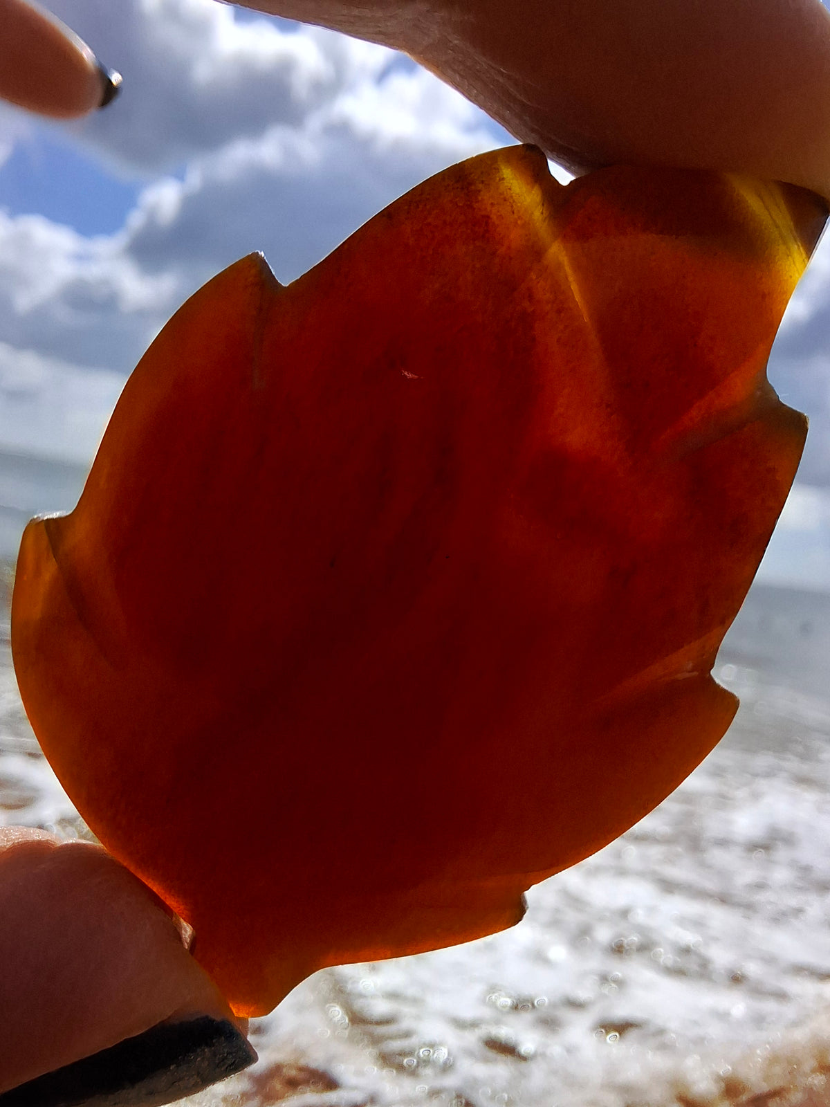 Red Amber Leaf Carving, 8.45g, Fossil (Ref: Leaf1)