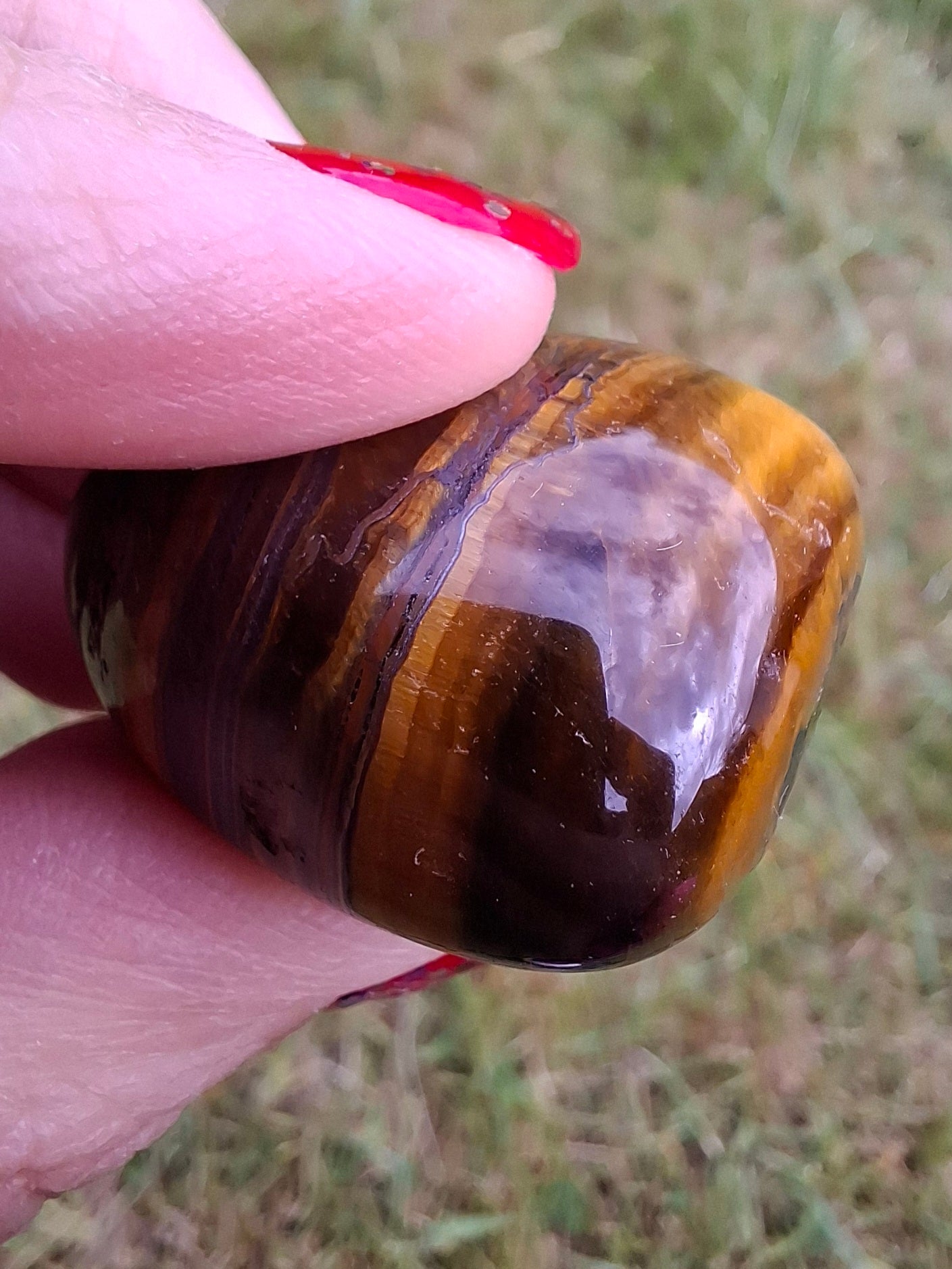 Tigers Eye, Tumble Stone, Crystal (Ref: T133)