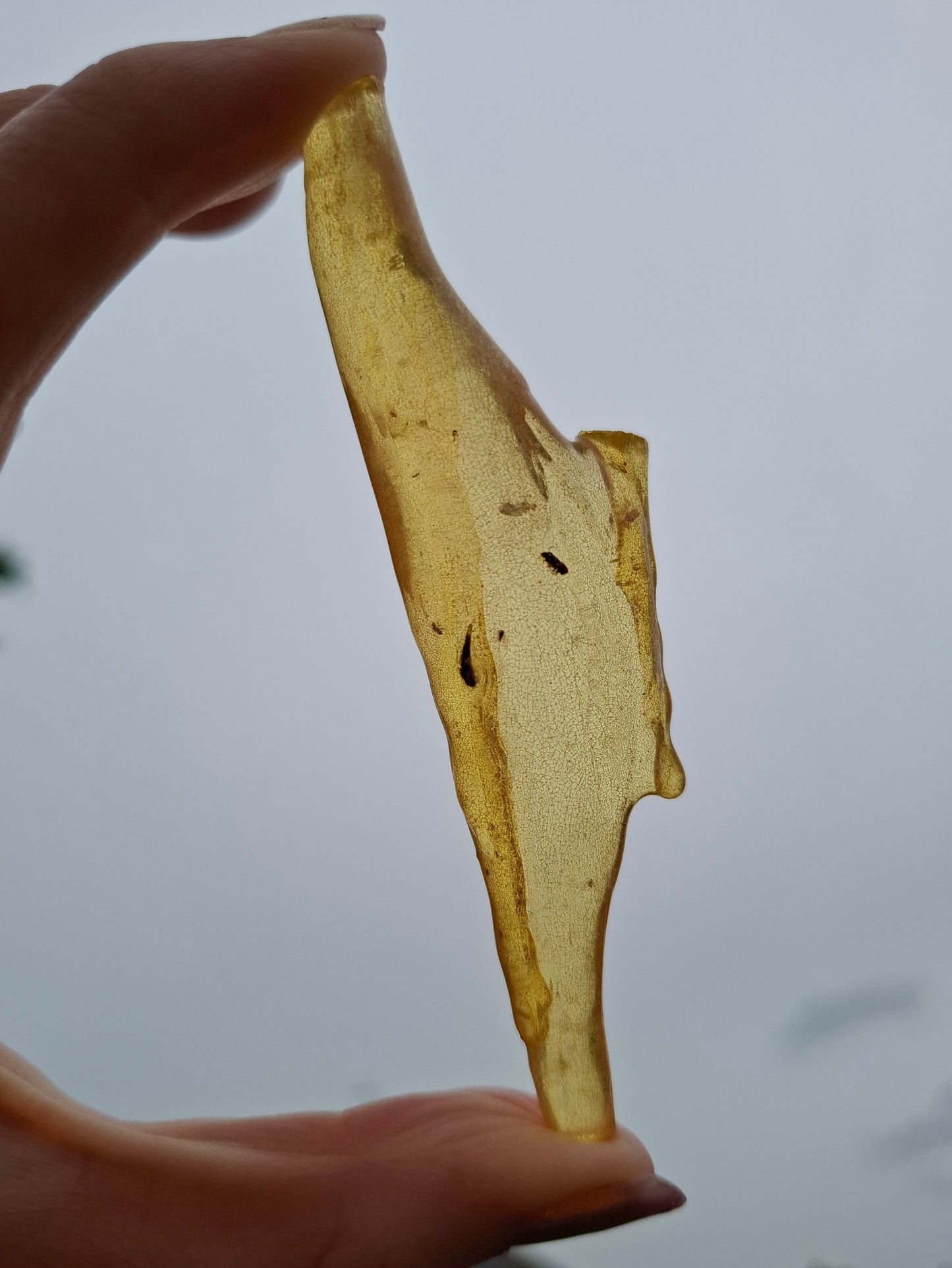 Copal Young Amber with INSECTS inside, 10.79g, Fossil (Ref: CA14)