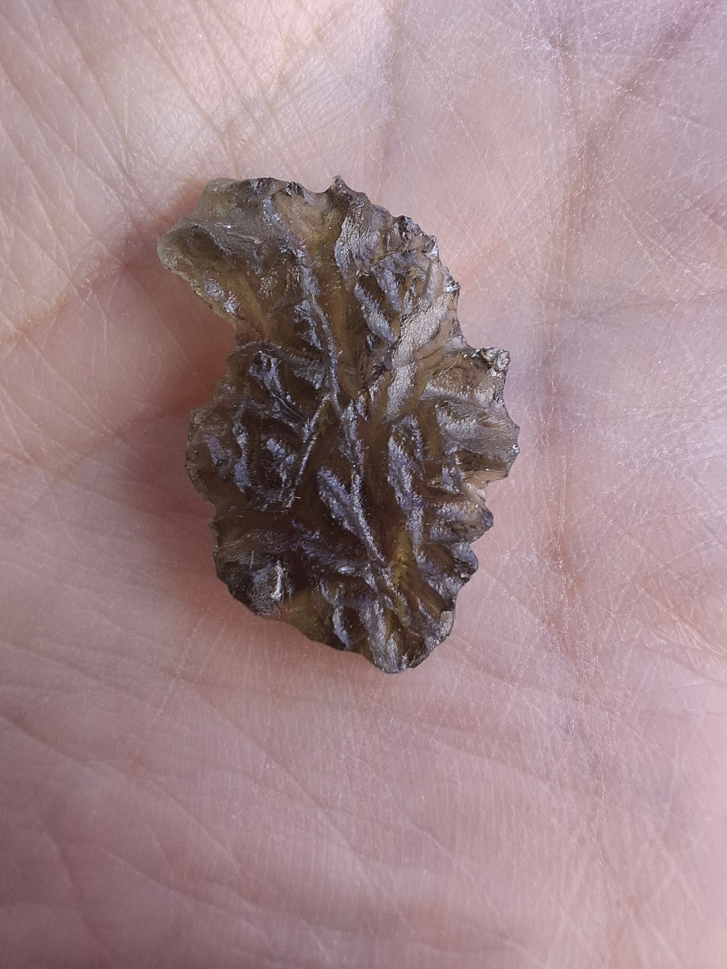 Moldavite Piece, JEZKOVNA BESEDNICE, 1.69g, Tektite (Ref: 1268)