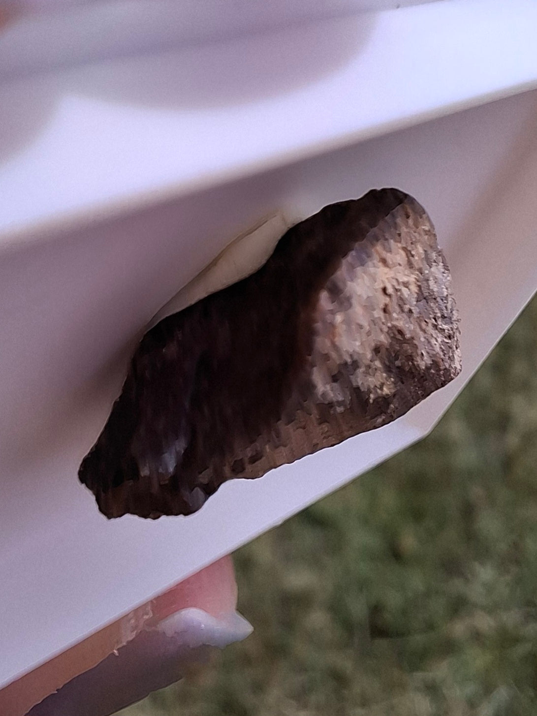 Chondrite, Meteorite (Ref: CM6)