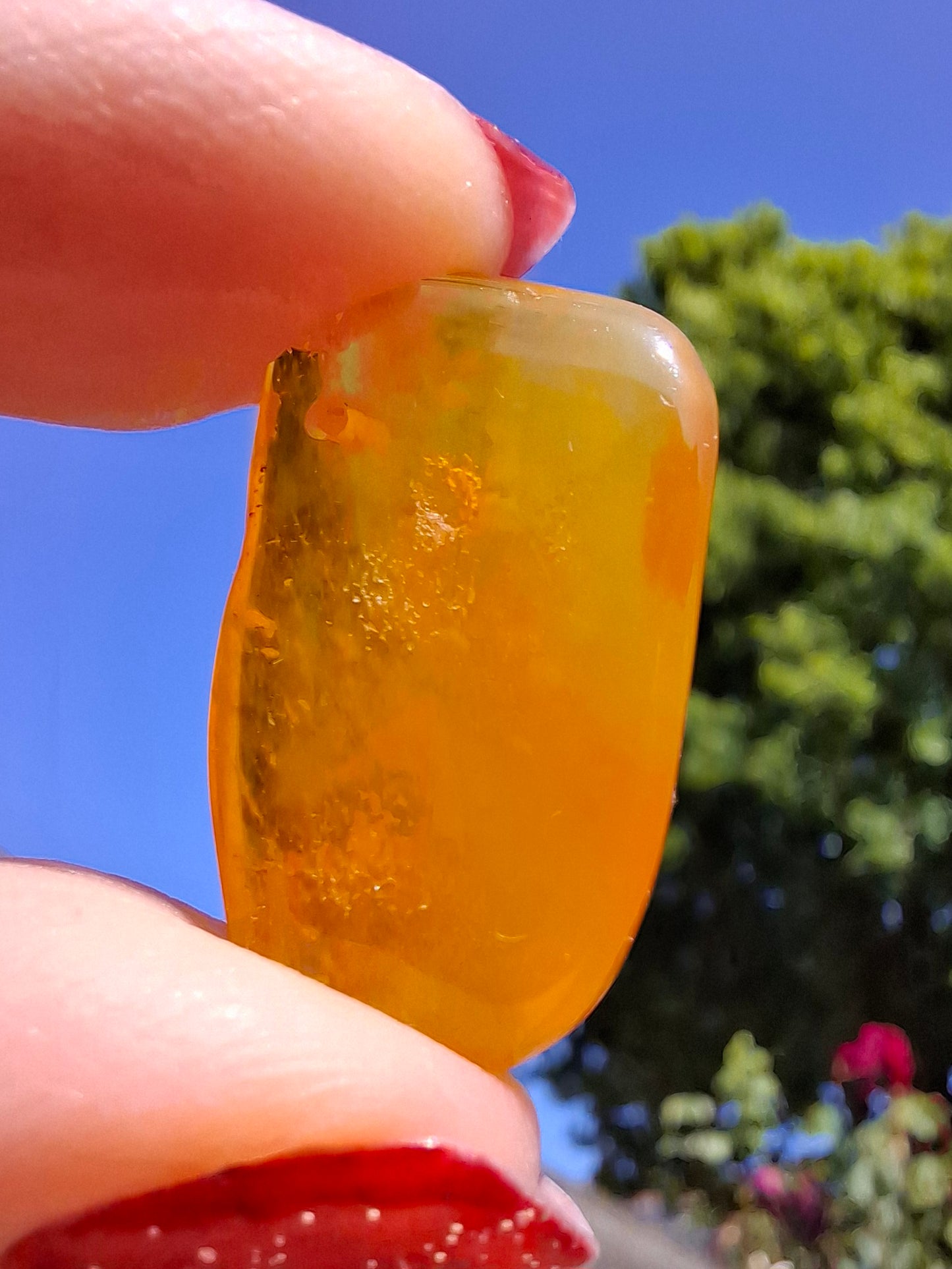 Baltic Amber, 1.55g, Fossil (Ref: A219)