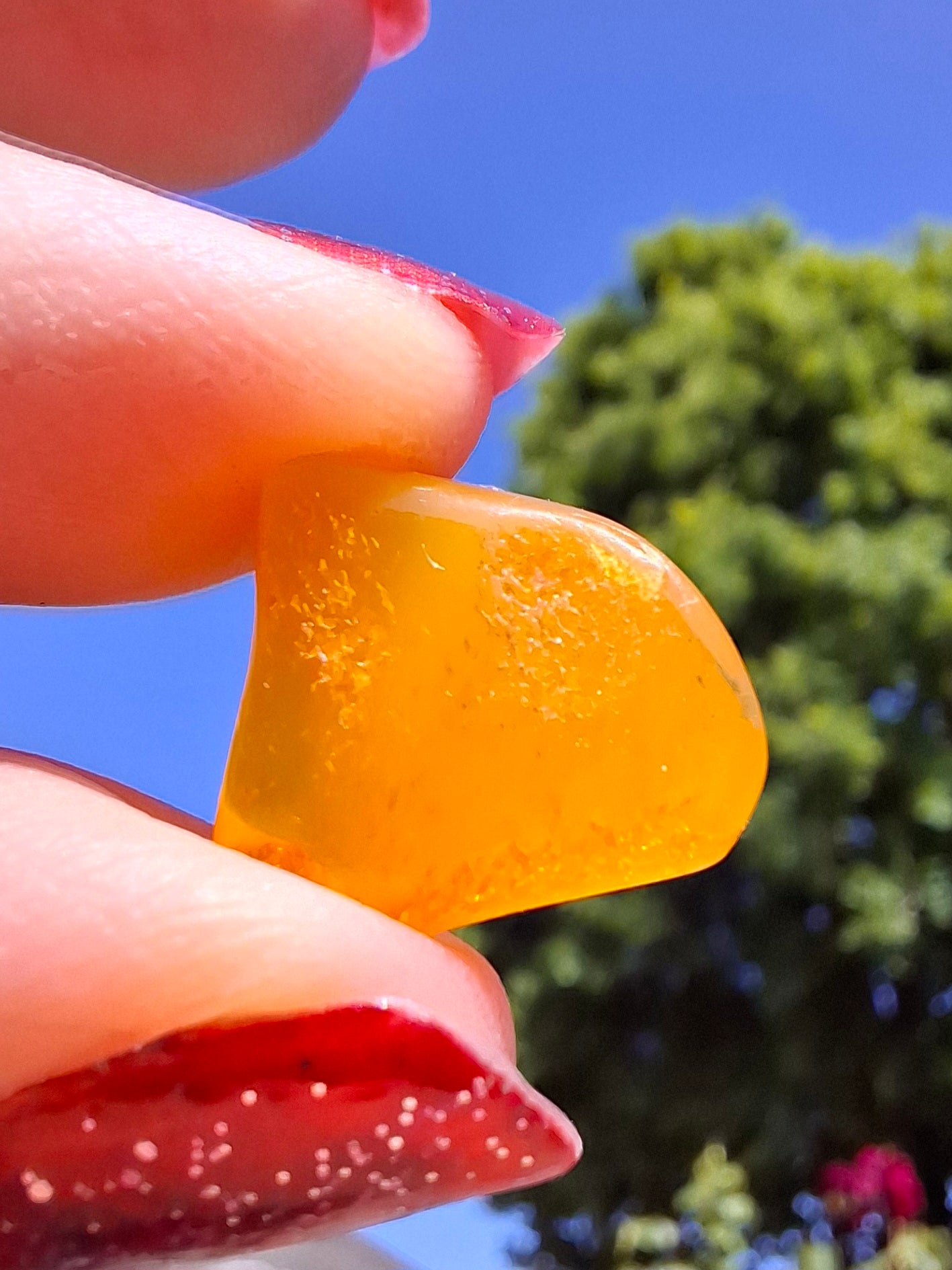 Baltic Amber, 1.00g, Fossil (Ref: A250)