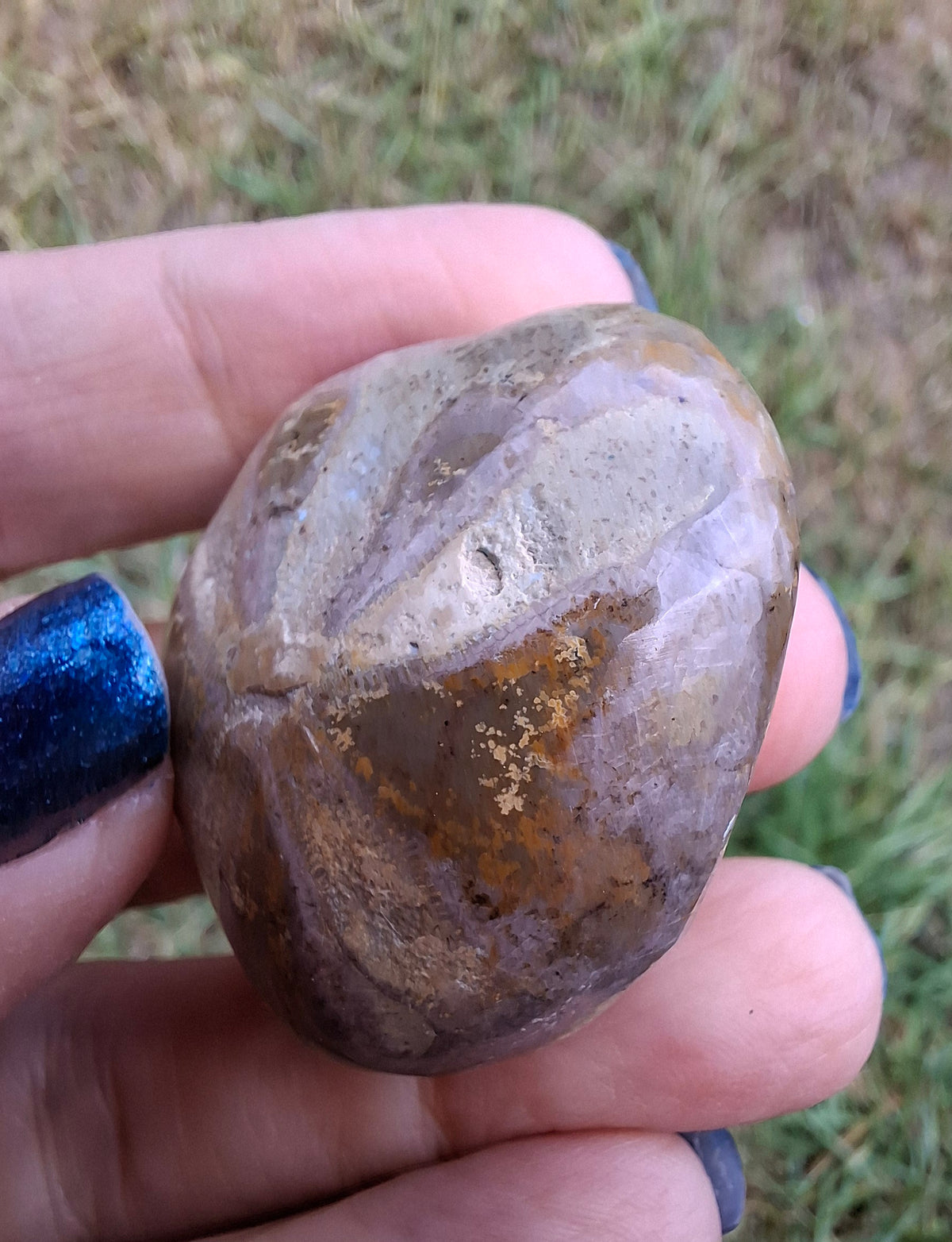 Polished Sea Urchin, Fossil (Ref: SU5)
