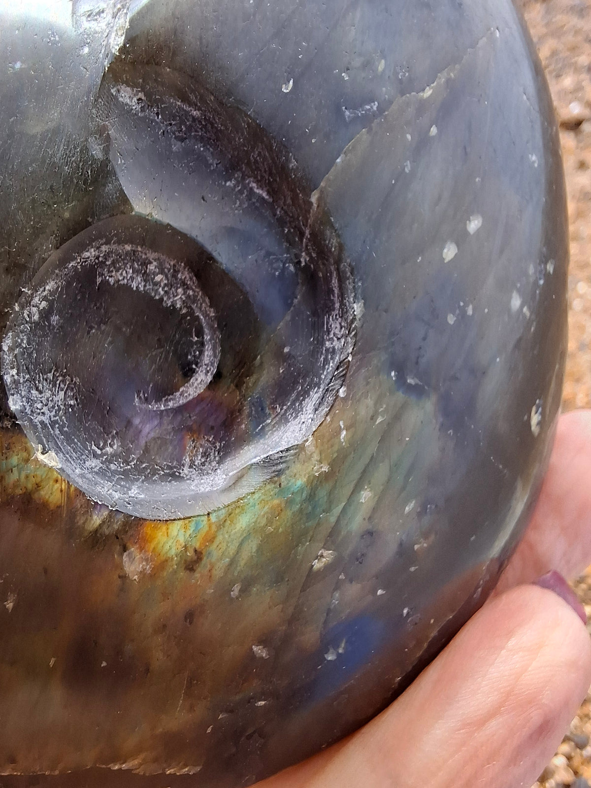 Labradorite Ammonite Carving, 160.21g, Crystal (Ref: laba4)