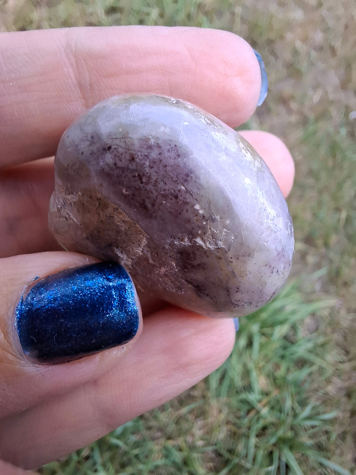 Polished Sea Urchin, Fossil (Ref: SU6)