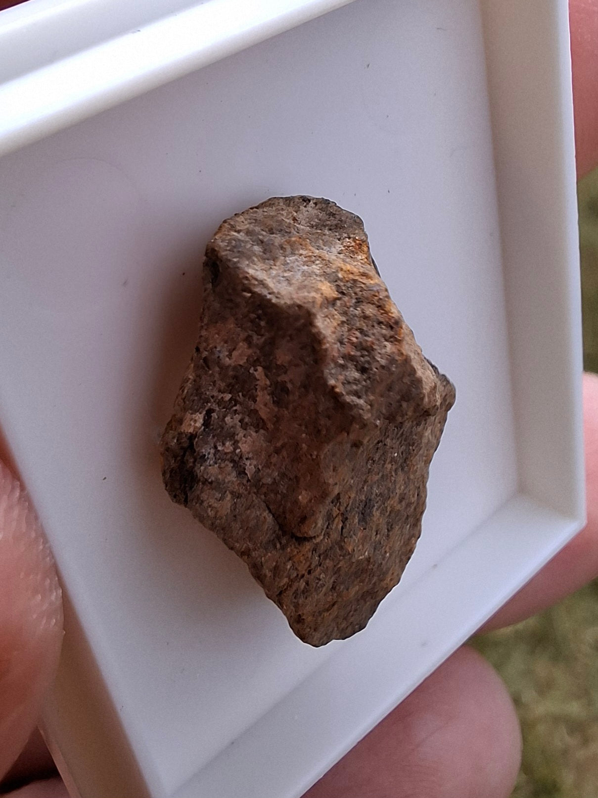 Chondrite, Meteorite (Ref: CM7)
