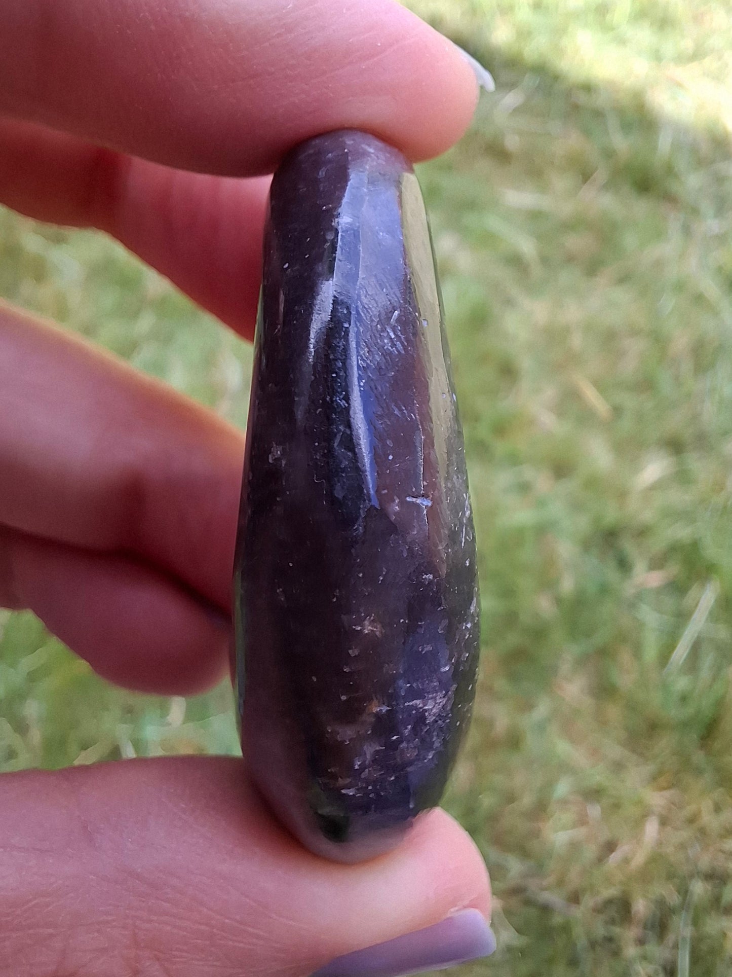 Goniatite, Fossil (Ref: GA8)
