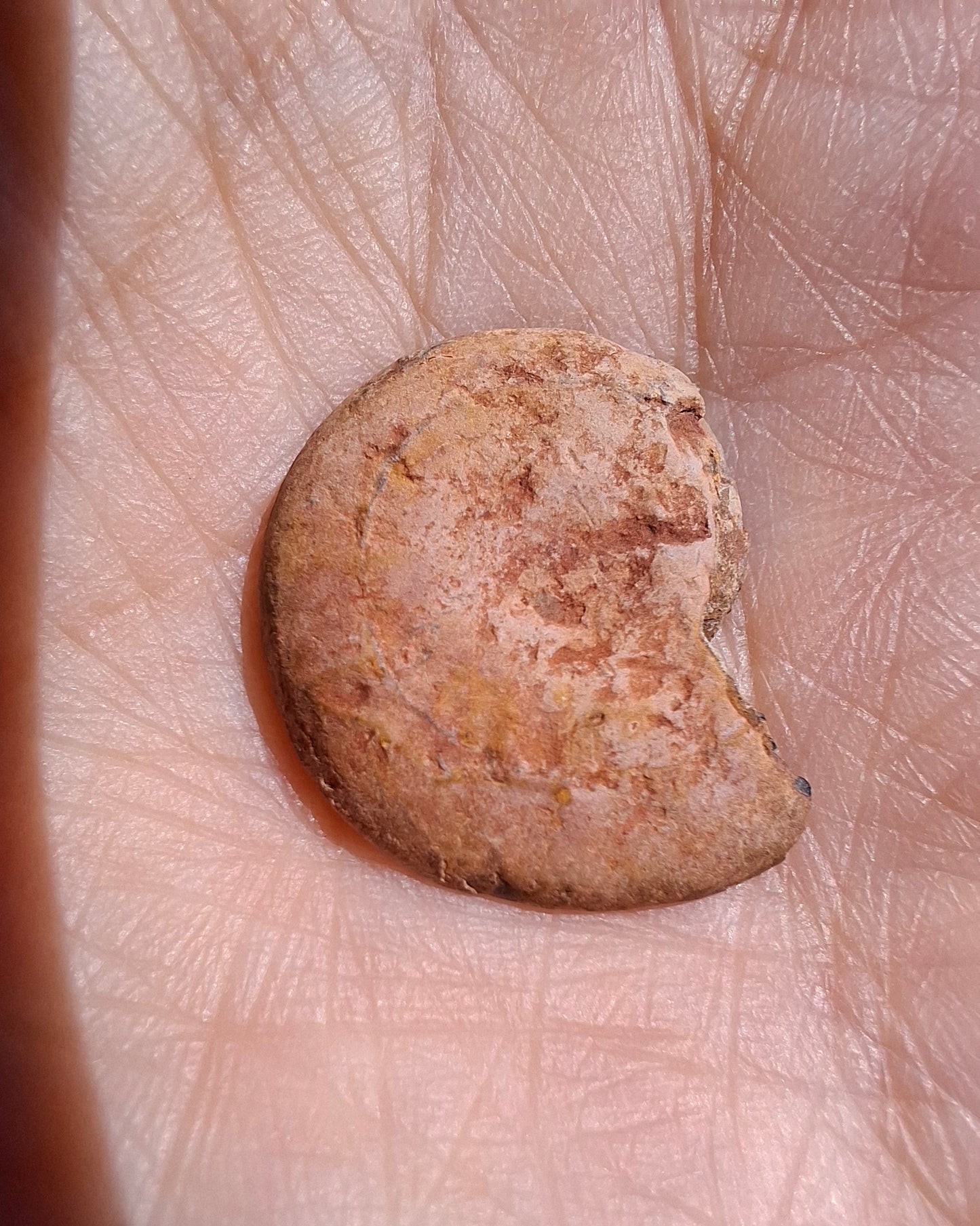 Small Haematite Ammonite HALF, 2.19g, Fossil (Ref: MA3)