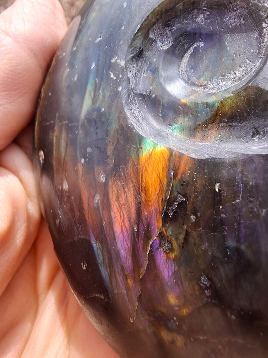 Labradorite Ammonite Carving, 160.21g, Crystal (Ref: laba4)