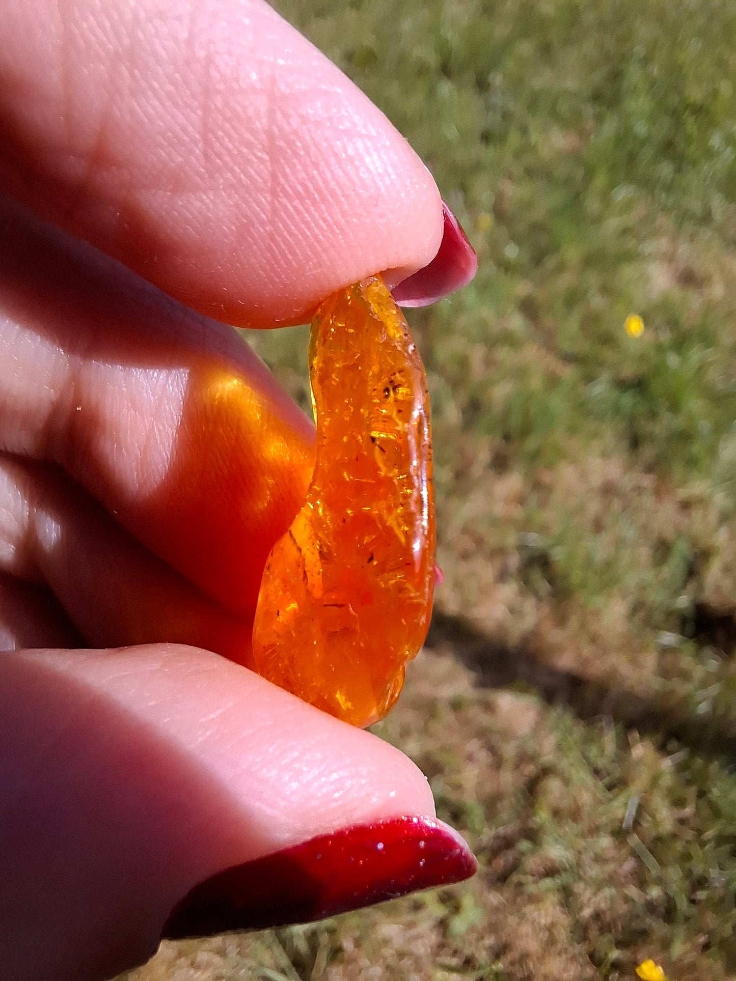 Baltic Amber, 1.39g, Fossil (Ref: A181)
