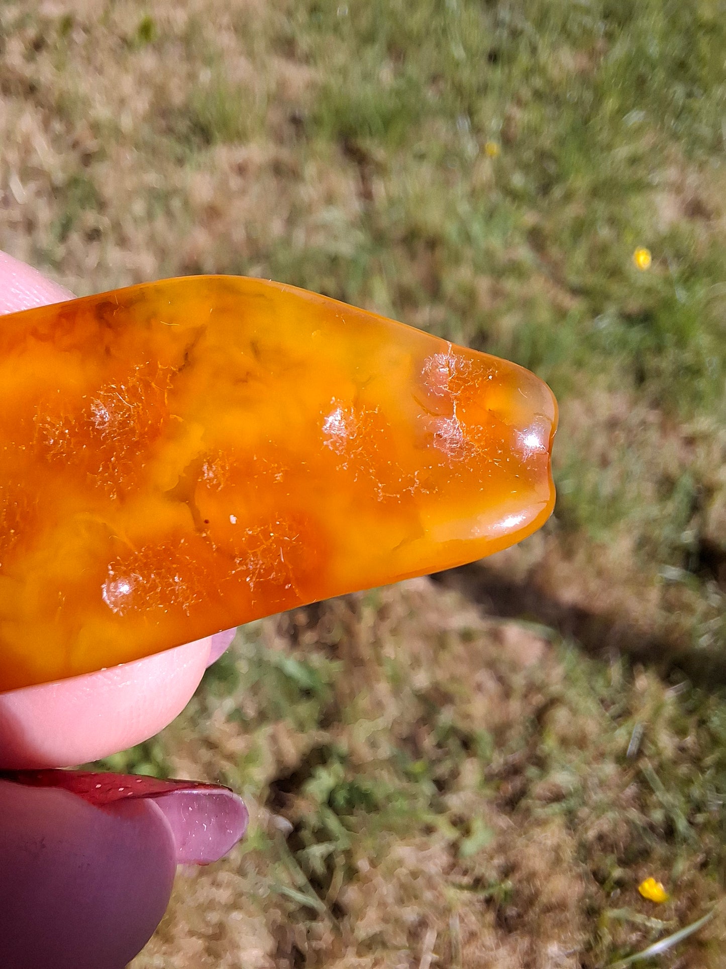 Baltic Amber, 2.87g, Fossil (Ref: A152)